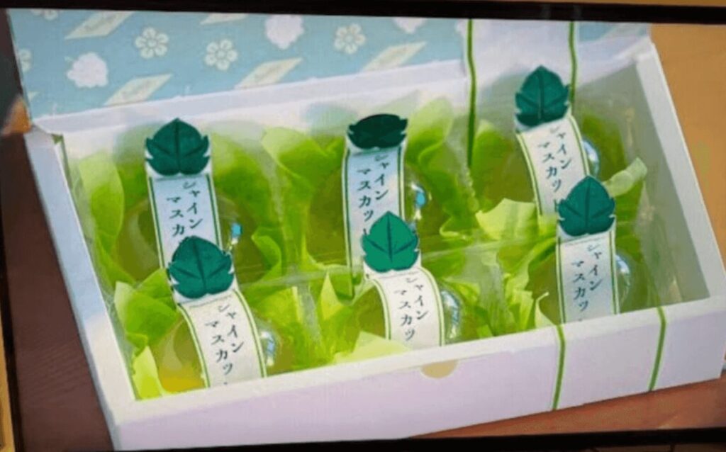 私の夫と結婚して 日本版 ゼリー